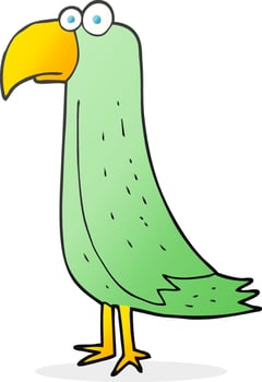 doodle character cartoon parrot vector
