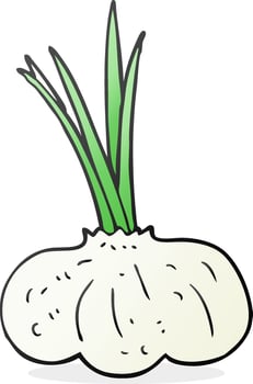 cartoon garlic bulb vector