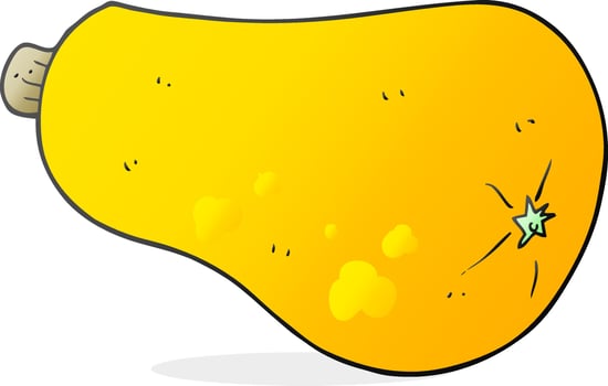 cartoon butternut squash vector