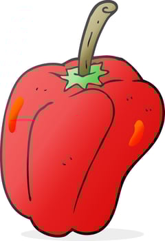 freehand drawn cartoon pepper vector