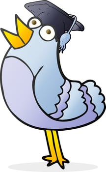 freehand drawn cartoon bird wearing graduation cap vector