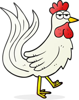 freehand drawn cartoon cock vector