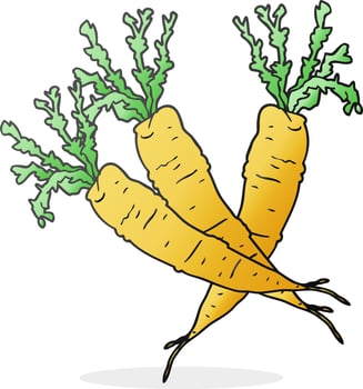 freehand drawn cartoon carrots vector