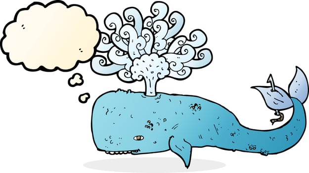cartoon whale with thought bubble vector