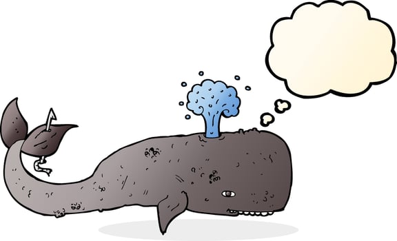 cartoon whale with thought bubble vector