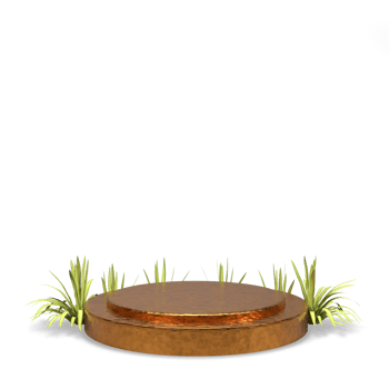 elegant 3d render podium for elegant design png