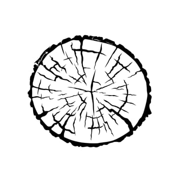 Grunge Rustic Wood Stump trunk rings timber texture vector design