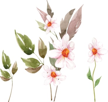 set of watercolor vector illustrations of white flowers and bouquets.