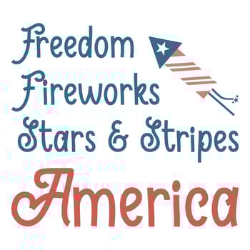 Freedom fireworks star and stripes America vector