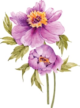 bouquet of pink peonies flowers, watercolor illustration isolated on white background. vector
