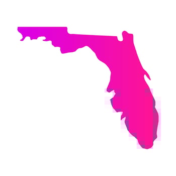 Florida map illustrated on white background vector