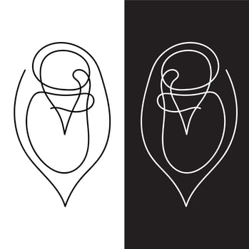 Pregnancy and baby vector
