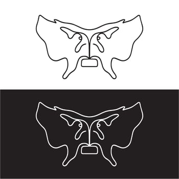 Human's sphenoid bone vector