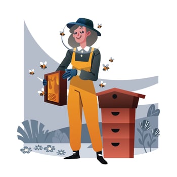 A Beekeeper Is Harvesting Honey From A Bee Hive vector