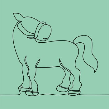 continuous line drawing on horse vector