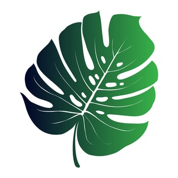 Monstera Deliciosa plant leaf from tropical forests isolated. Vector for greeting cards, flyers, invitations, web design