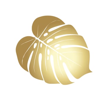Monstera Deliciosa plant leaf from tropical forests isolated. Vector for greeting cards, flyers, invitations, web design