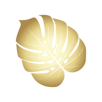Monstera Deliciosa plant leaf from tropical forests isolated. Vector for greeting cards, flyers, invitations, web design