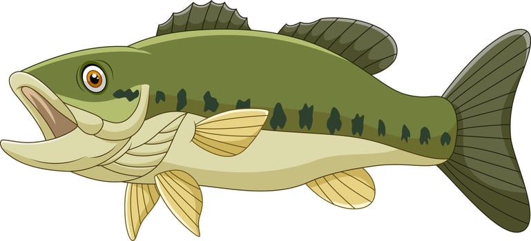 Cartoon bass fish isolated on white background vector