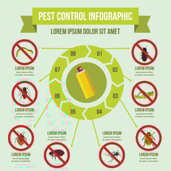 Pest control infographic concept, flat style vector