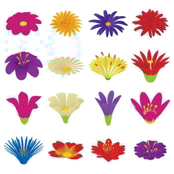 Detailed flowers icons set, cartoon style vector