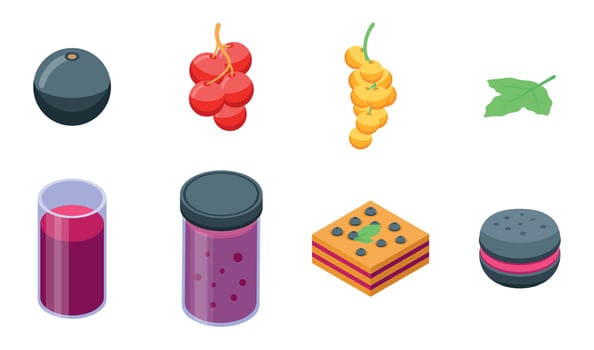 Currant icons set, isometric style vector