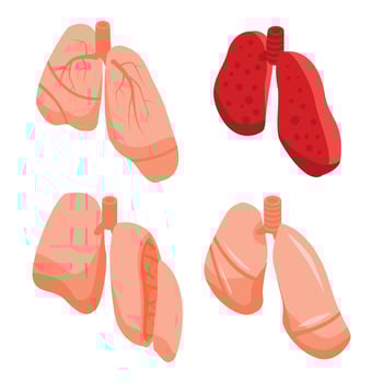 Lung icons set, isometric style vector