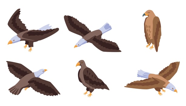 Eagle icons set, isometric style vector