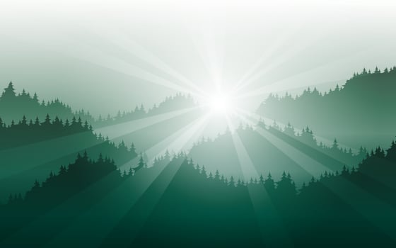 Nature abstract background with foggy pine forest and sunbeam vector