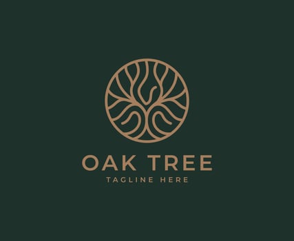 oak Tree vector icon. Nature trees vector illustration logo design