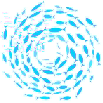 Vector silhouette of a group of colored fish swimming in a circle. Isolated on a white background. Great for design illustration templates about marine life.
