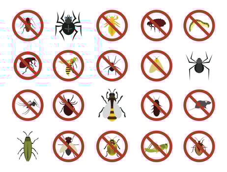 Insects icon set, flat style vector