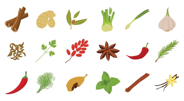 Spices icon set, cartoon style vector