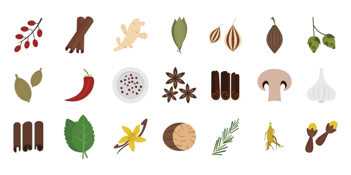 Spices icon set, flat style vector