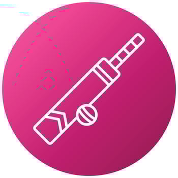 Cricket Icon Style vector