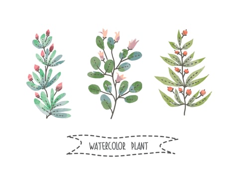 Set of handpainted watercolor vector plants and leaves.Design element for summer wedding, spring congratulation card. Perfect floral elements for save the date card. Unique artwork for your design.