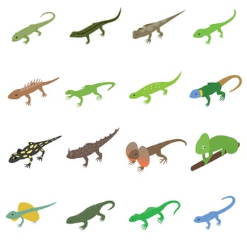 Lizard icons set, isometric 3d style vector