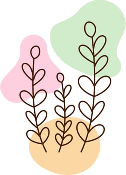 Decorative Aesthetic Flower Outline vector