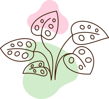 Decorative Aesthetic Flower Outline vector