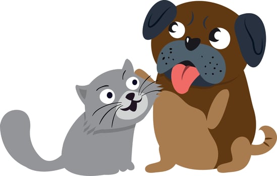 Modern pet dog and cat friends vector