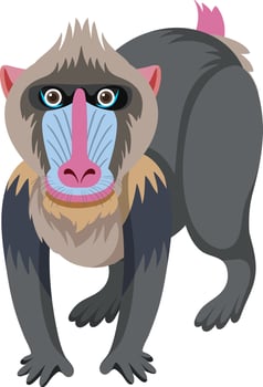 Cute mandrill in flat cartoon style vector