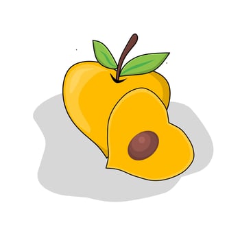 Illustration of apricot fruit. Apricot fruit icon, fruits. vector