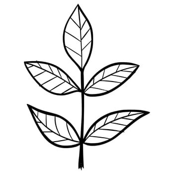floral hand drawn vector illustration