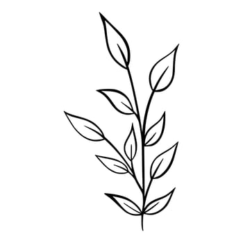 floral hand drawn vector illustration