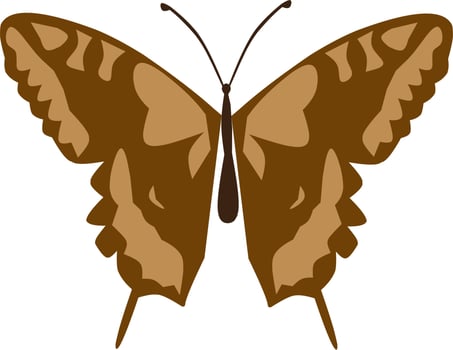 beautiful butterfly collection vector