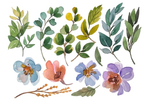 watercolor flower elements clipart vector