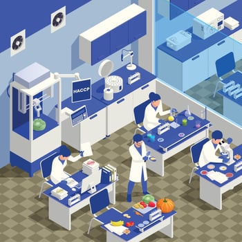 HACCP Food Safety Concept vector