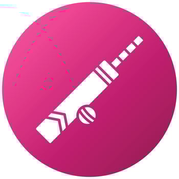 Cricket Icon Style vector