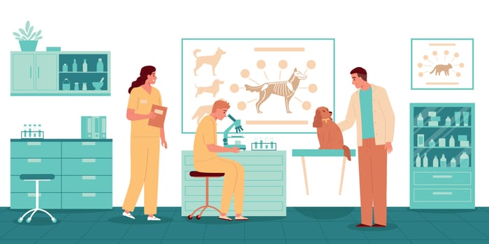 Veterinarian Occupation Vector Illustration