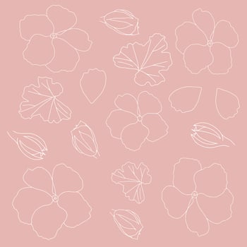 Pink background with flowers. Floral pattern. A template for design and creativity. vector
